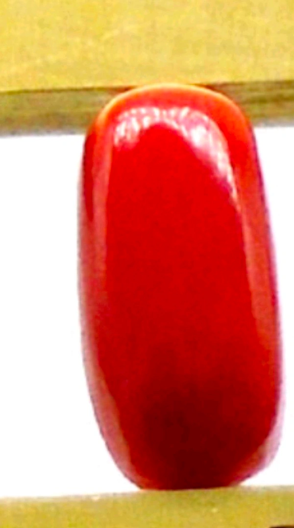 Natural Red Coral Stone, Italian Moonga (Certified by GIA / IGJTL / IGI ) Unheated UntreatedCODE = Coral1876 - Red