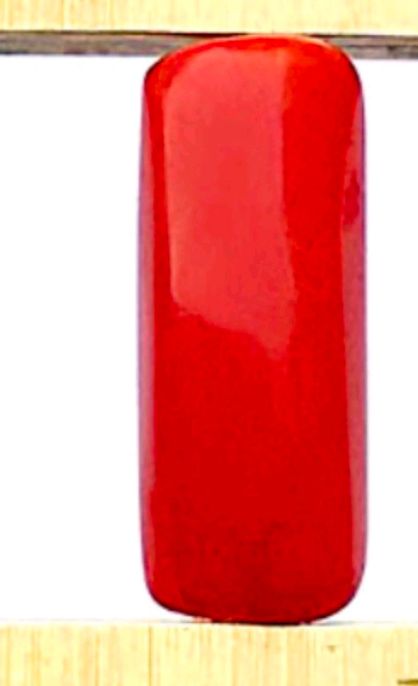 Natural Red Coral Stone, Italian Moonga (Certified by GIA / IGJTL / IGI ) Unheated UntreatedCODE = Coral2061 - Red