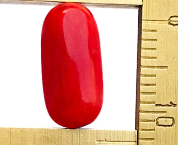 Natural Red Coral Stone (Certified by GIA / IGJTL / IGI ) Italy Mines Moonga Stone Unheated UntreatedCODE = Coral2514 - Red