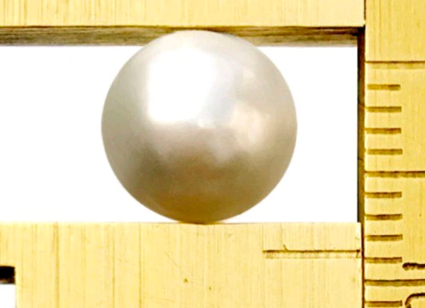 Pearl Stone (Certified by GIA / IGJTL / IGI ) South Sea Seep Moti, Heavy Weight RoundCODE = Pearl2716 - White