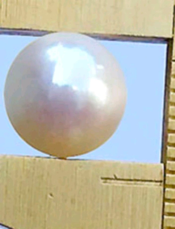 Pearl Stone (Certified by GIA / IGJTL / IGI ) South Sea Seep Moti, Heavy Weight RoundCODE = Pearl12522 - Mercury