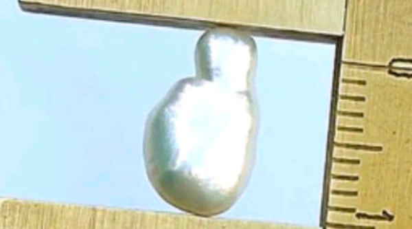 Details : Certified Shell Pearl (Real Pearl) 100% Genuine, Certified by International Gemstone Testing Lab (IGI / IGJTL / GIA)Stone : Specific Gravity = 2.60-2.85(Calculated2.70), Hardness = 4.5, Refractive Index = 1.55 (spot)Weight : 2.88 Carat (3.25 Ratti)Size : Length=11.75mm X Width=7.25mm - White