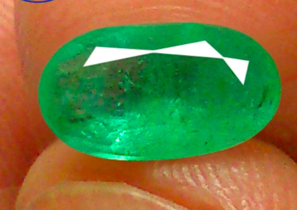 Natural Emerald Stone (Certified by GIA / IGJTL / IGI ) Zambia Mines Panna Stone Unheated UntreatedCODE = Emerald3643 - Japanese Laurel