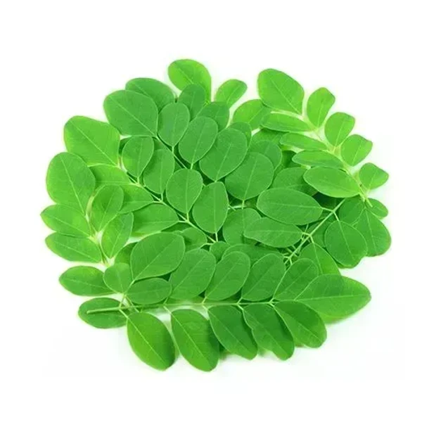 Moringa Leaves (Drumstick Leaves) - 1 Bunch