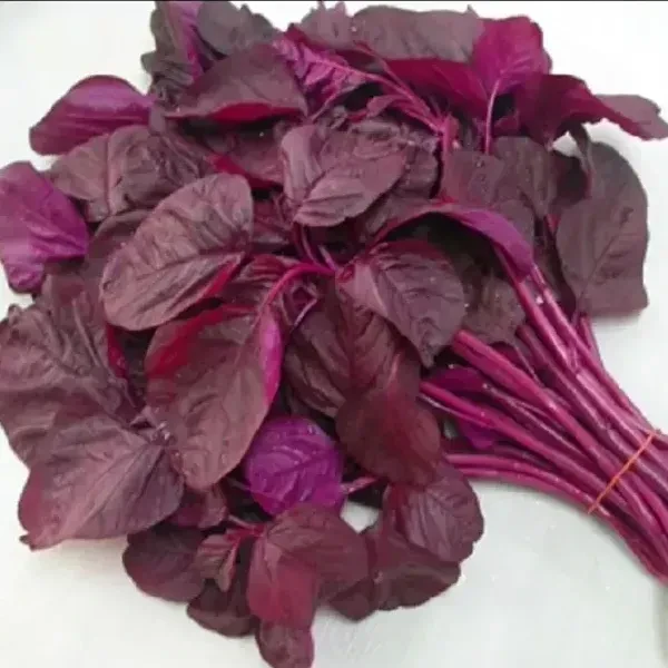 Red Amaranthus - 1 Bunch