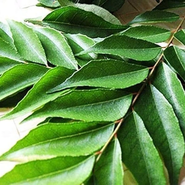 Curry Leaves - 1 Bunch