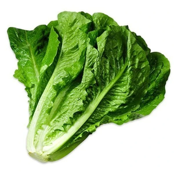 Romaine Lettuce - 1 Bunch