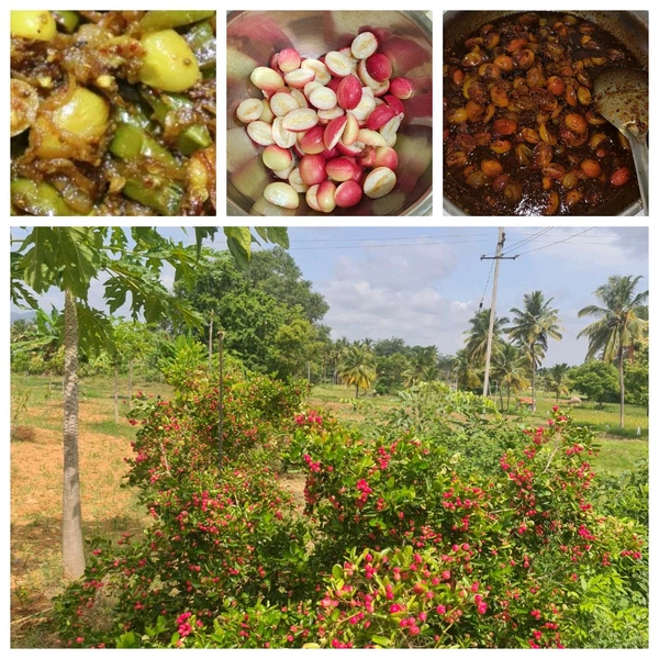 Karonda-Mirch Pickle - 250gms