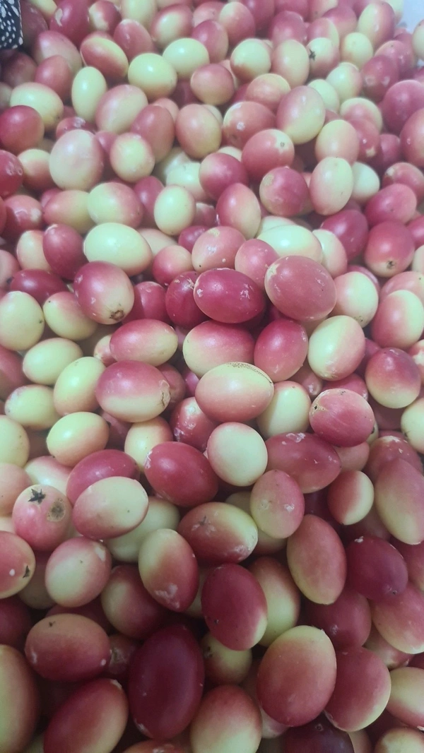 Plain Karonda Pickle - 250gms