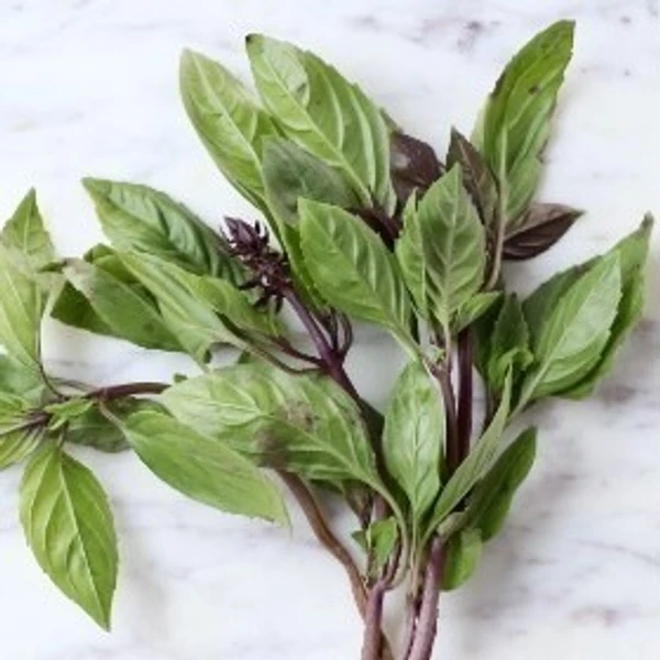 Basil Leaves - 1 bunch - 1 bunch