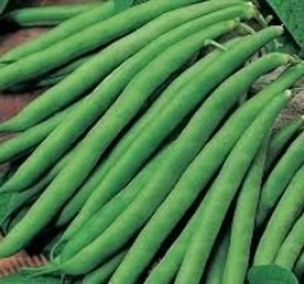 French Beans  - 250gms