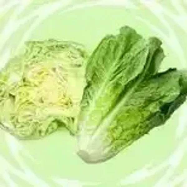 Iceberg Lettuce - 1 bunch - 1 bunch