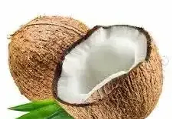 Coconut - 1 piece