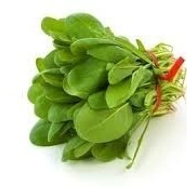 Baby Spinach (baby palak) - 1 bunch