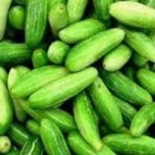 Ivy Gourd/Tondli- 500 gms - 500 gms