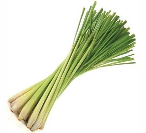 Lemon Grass - 1 Bunch