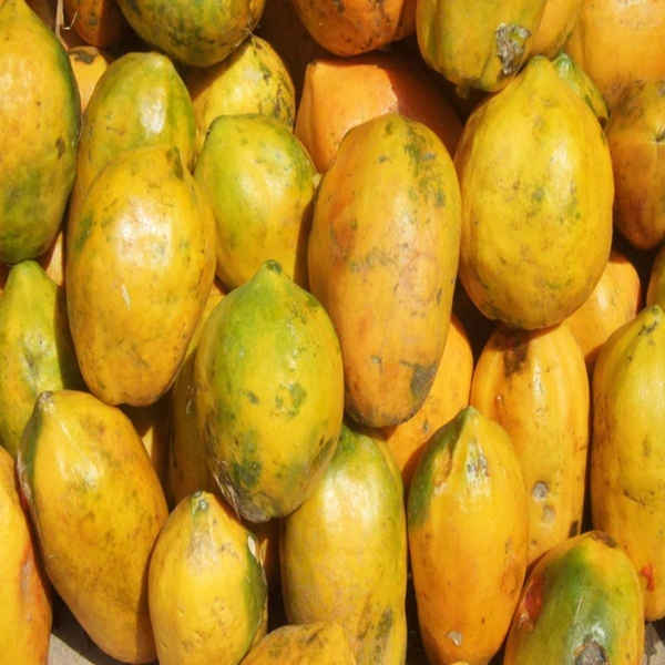 Papaya - 1 Piece (Medium ~1kg)