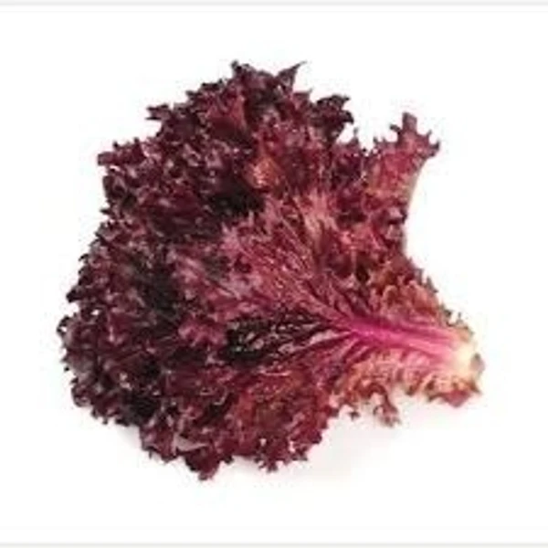 Red Lettuce - 1 bunch - 1 bunch