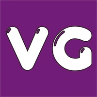 V G Elektronik - Logo