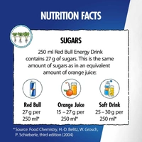 REDBULL Red Bull Energy Drink Can, 250 ml - 250 ml, Lonestar