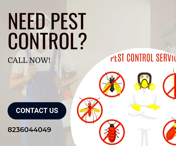 Pest Control Service  - 1squ Feet
