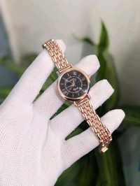 FOSSIL - S2