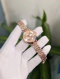 FOSSIL - S2