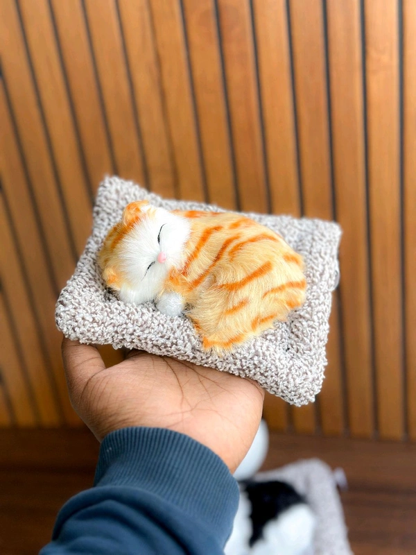  Sleeping Cat  - S3