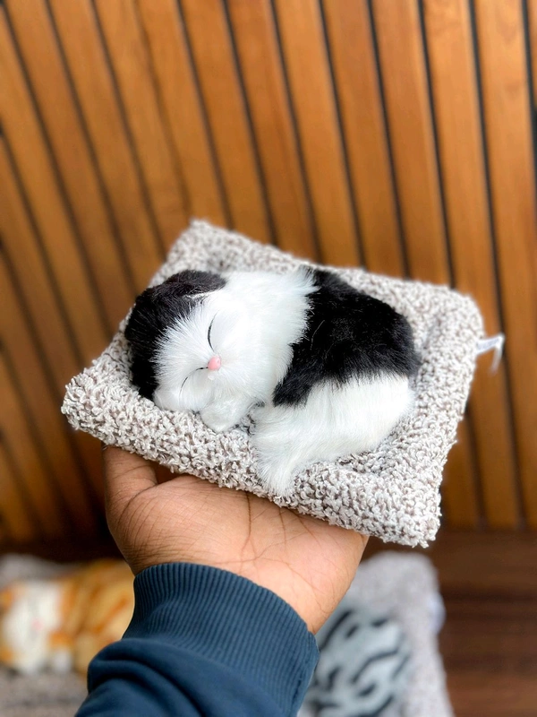  Sleeping Cat  - S3