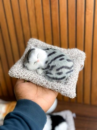  Sleeping Cat  - S3
