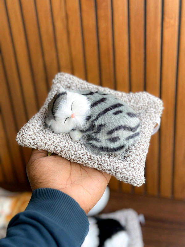  Sleeping Cat  - S3
