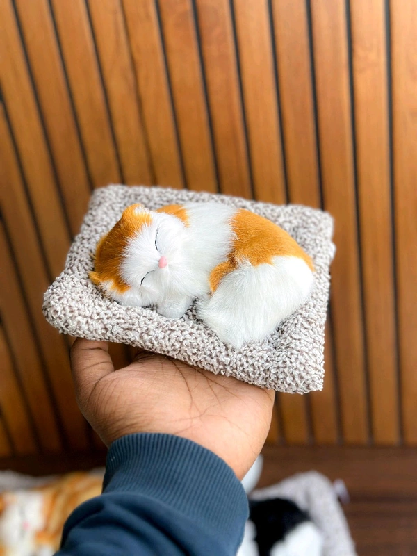  Sleeping Cat  - S3