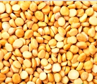 Khadi Moong / Masoor Dal / Dhuli Urad / Moong Chilka /Falidane  Per Kgs Call For Asking rates Of Each Dal On 8120214924