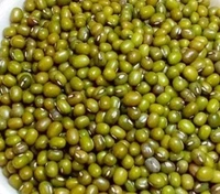 Khadi Moong / Masoor Dal / Dhuli Urad / Moong Chilka /Falidane  Per Kgs Call For Asking rates Of Each Dal On 8120214924