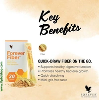 Forever Fiber