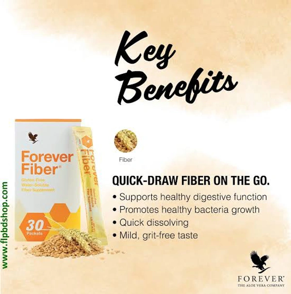 Forever Fiber