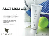Aloe MSM Gel