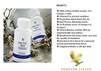 Forever Arctic Sea
