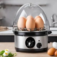NextWise - Electric Egg Cooker