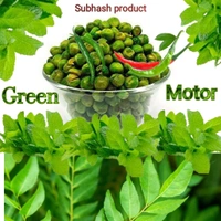 SUBAS PRODUCT  Green Motor ₹ 5 /12 Pis - Green, 24-25