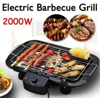 2000W Electric Barbecue Grill (DLD-006) 