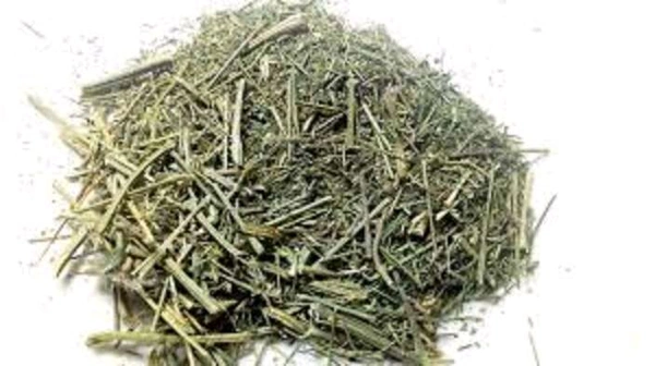 j.M.S Farma Chiraita / Swertia - Ayurvedic, 0.100 GM
