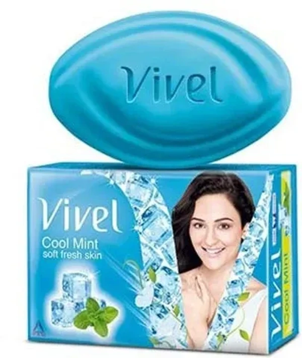 Vivel Cool Mint Soft Fresh Skin, 48g