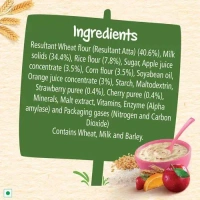 Nestle Cerelac Wheat Rice Mixed Fruit, 300g - 300g