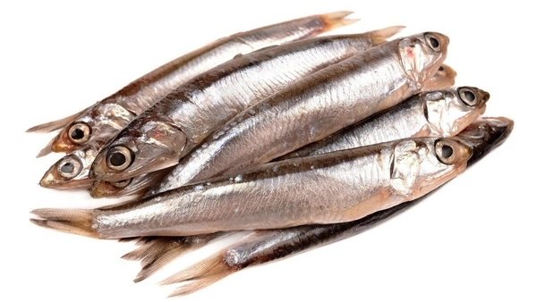 Fish - Veluri / Anchovy