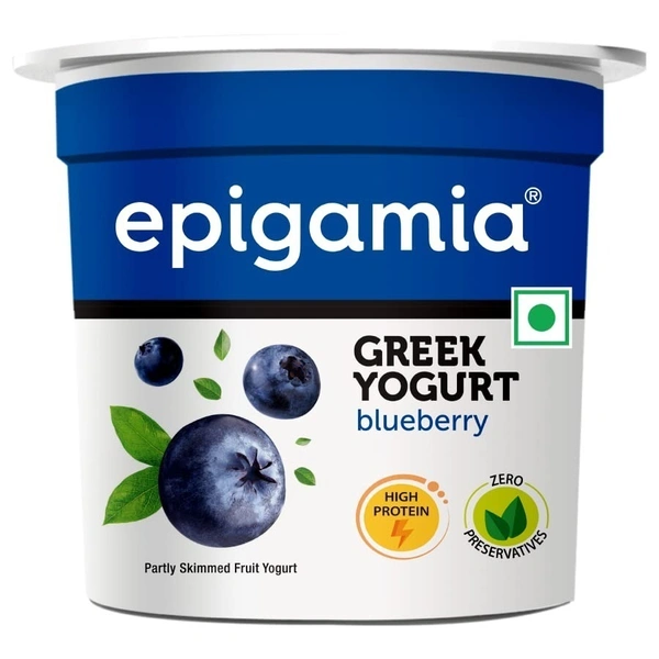 Epigamia Blueberry Yoghurt - 90g - 90g
