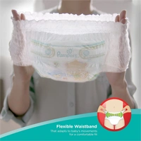 Pampers Diapers All Round Protection Large, 23 pants
