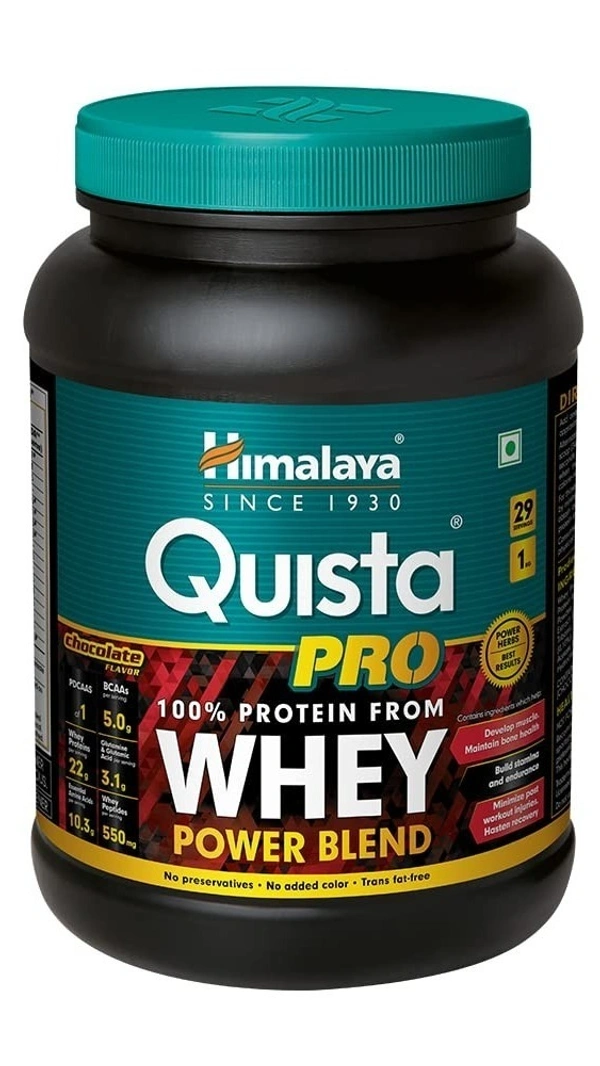 Himalaya Quista Protein Powder Chocolate, 1 kg - 1 kg