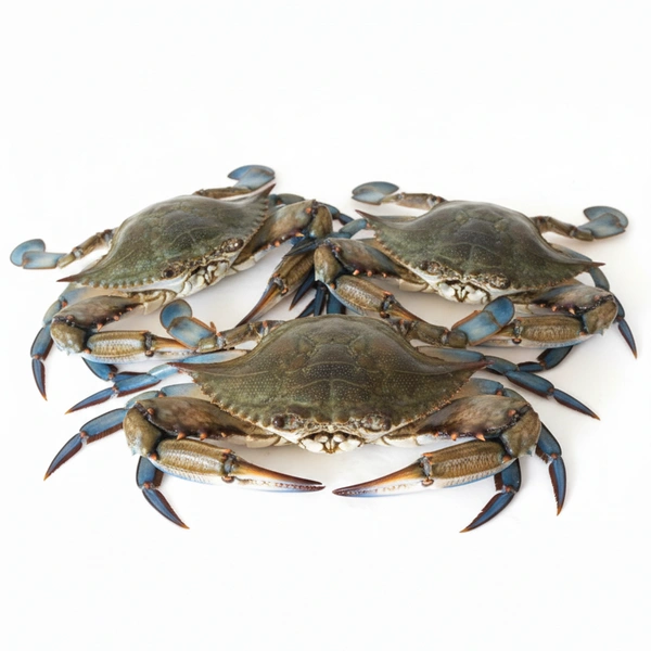 Blue Crab (Njandu / Neelam Njandu / Sea Crab) - 500g