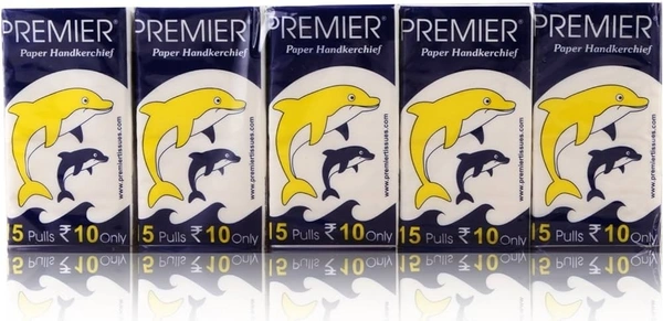 Premier Paper Handkerchief, 10 Packets x 15 N Tissue Paper - 10 Packets
